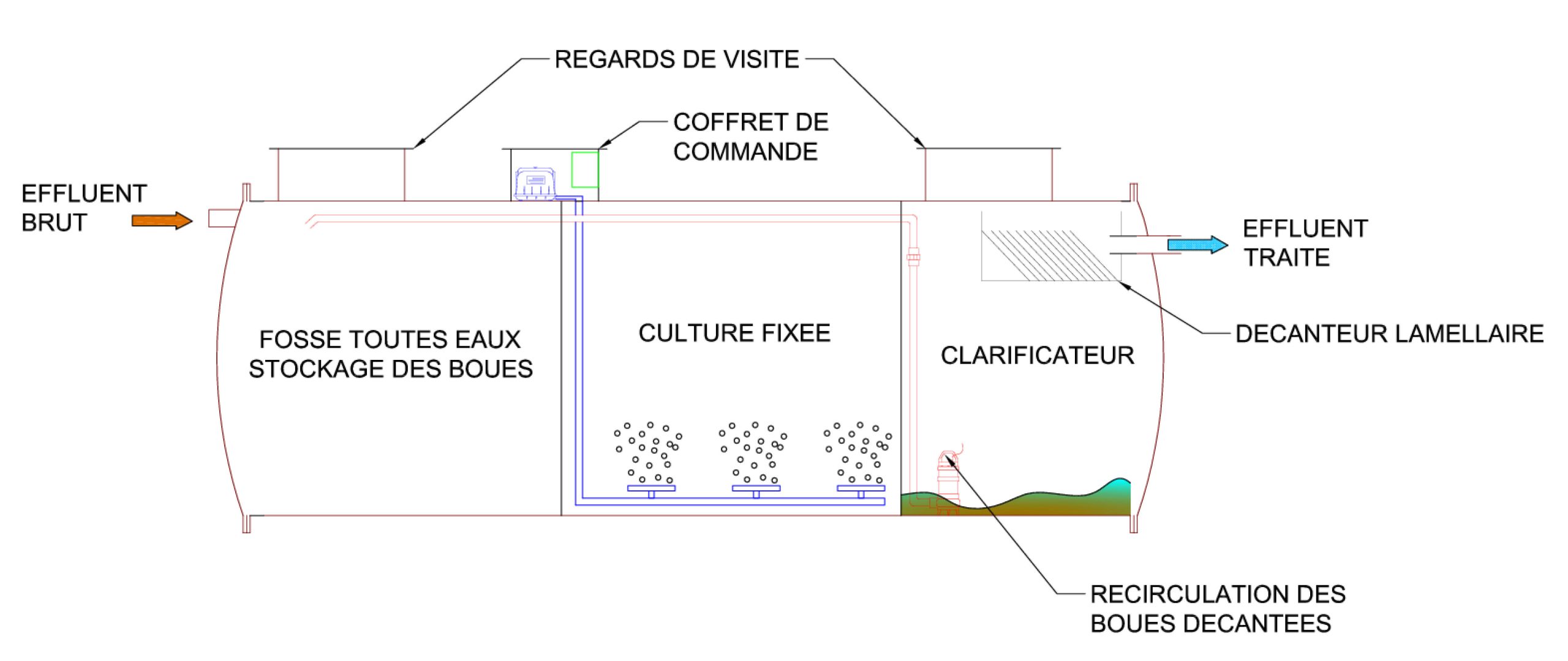 innobio-culture-fixee